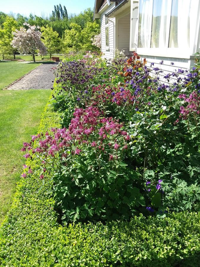 Hurunui Homestead Bed And Breakfast Hawarden Exterior foto